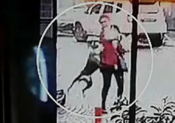 Tekirdağ'da pitbull dehşeti! Kadın ve köpeğine saldırdı
