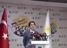 Meral Akşener artık torun sevmeli
