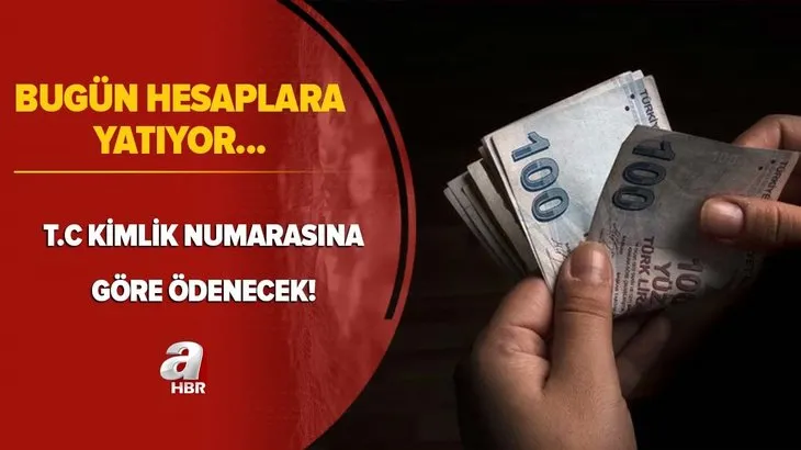 Bugün hesaplara yatıyor! T.C kimlik numarasına göre ödenecek! 2,4,6,8,9...