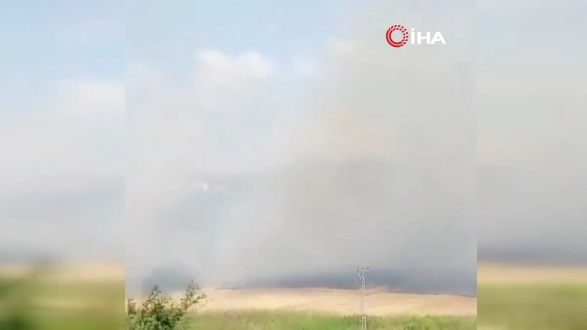 İstanbul Silivri'de yangın! Anızlar alevlendi! Evlere doğru ilerliyor...