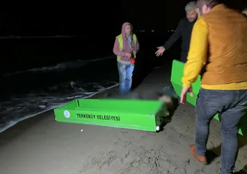 Denize attığı ağ ayaklarına dolandı! Samsun'da dehşete düşüren ölüm