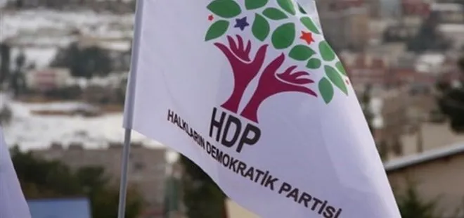 Van’da hazırlanan iddianamede HDP ile PKK arasında organik bağ tespiti yapıldı