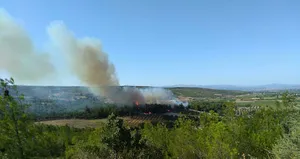 İzmir’de orman yangını