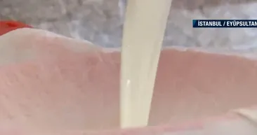 Lezzetli manda yoğurdu nasıl yapılır? | Doğal ortamında manda yoğurdu