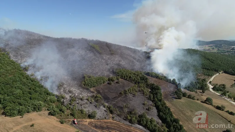 Bursa Yenişehir'de korkutan orman yangını! 11
