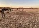 PKK/YPGli 4 terörist etkisiz hale getirildi
