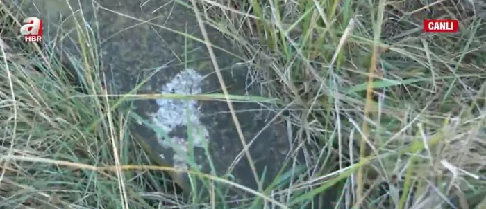 İstanbul’da görünmeyen mezarlık! Kilyos’ta tarihi mezarlık harabeye döndü