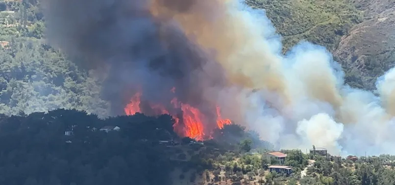 Tarım ve Orman Bakanı İbrahim Yumaklı: Hatay Belen'deki orman yangını büyük oranda kontrol altına alındı