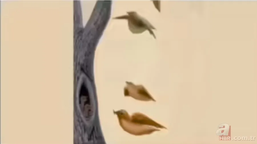 Ağaç, kuş, kadın: Gördüğünüz ilk şey sizi anlatıyor! Kişilik sırrınızı keşfedin 8