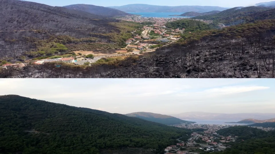 Marmaris'in yemyeşil doğası küle döndü! İşte yürek yakan manzara