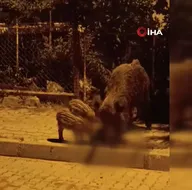 Paramparça edip böyle yediler!