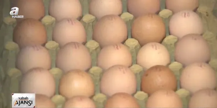 Yumurtaların üzerindeki kod ne anlama geliyor? Yumurtanızın kodu ne? Eğer 3 ile başlıyorsa...