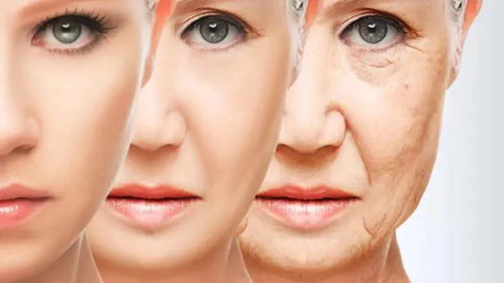Bu besin 10 yaş gençleştiriyor! Kırışıklıkları önleyen Canan Karatay tarifi! Uyuyana kadar...