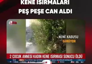 KENE ISIRMALARI PEŞ PEŞE CAN ALDI