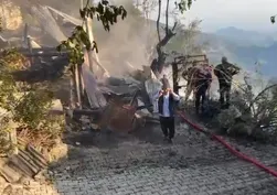Adana'da yayla evindeki yangın ormana sıçradı