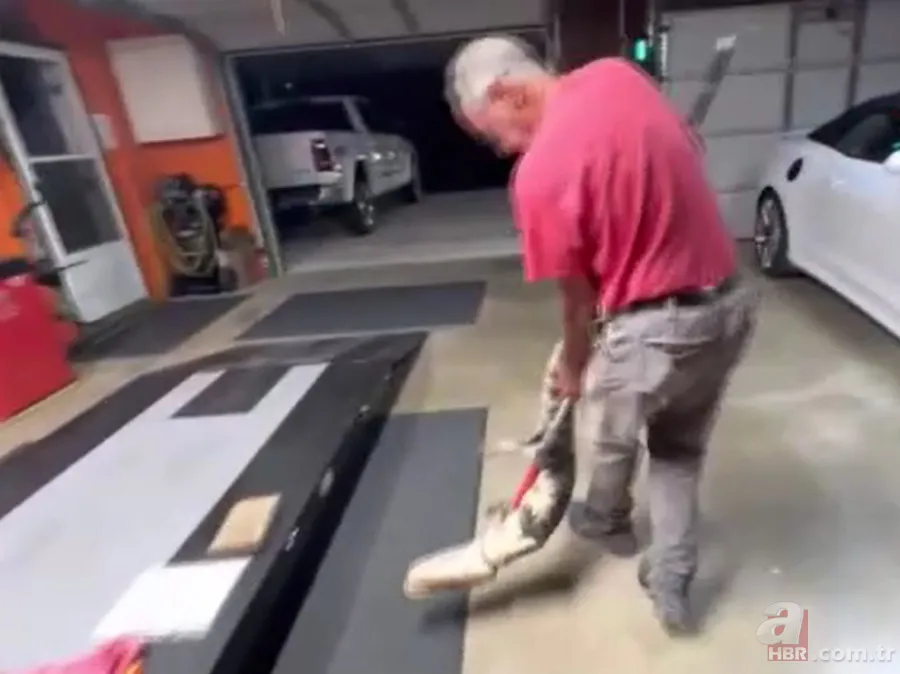 Herkes uyurken köpek kapısından girdi! Ayağıyla ağzına basıp etkisiz hale getirdi 5