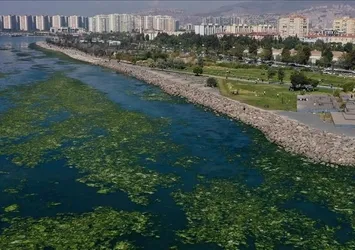 İzmir Körfezi'nde çarpıcı tespit! Kirlilik 4 mevsimde de sürüyor