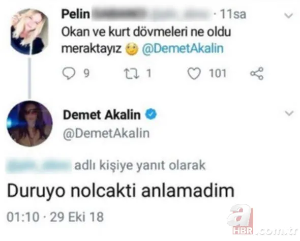 Demet Akalın ‘Okan ve kurt’ dövmelerini soran takipçisine bakın ne cevap verdi! 5