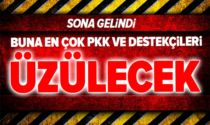 Türkiyenin yeni kamikazesi Alpagu geliyor! İşte Türkiyenin silahları...