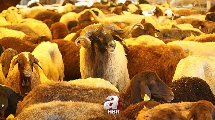 9 günlük tatil ne zaman başlıyor? 2021 Kurban Bayramı tatili hangi gün bitiyor? Bayram tatili resmi tatil mi?