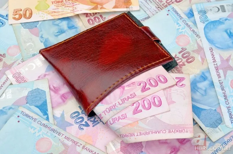 Gençleri hayallerine kavuşturacak destek! 12 ay geri ödemesiz 350 BİN TL Kredi verilecek! Halkbank, KOSGEB genç girişimci destekleri neler? İşte şartları! 3