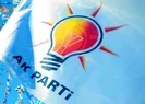 AK Partide referandum seferberliği
