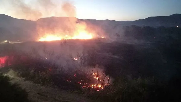 Ankara’da yangın: Kuş Cenneti bölgesinde yangına ilişkin resmi açıklama