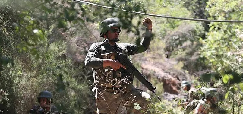 Terör örgütü PKK'nın Ege açılımı çökertildi