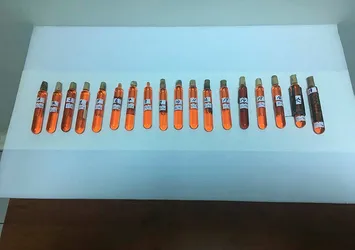 Ankara'da kobra zehri ele geçirildi