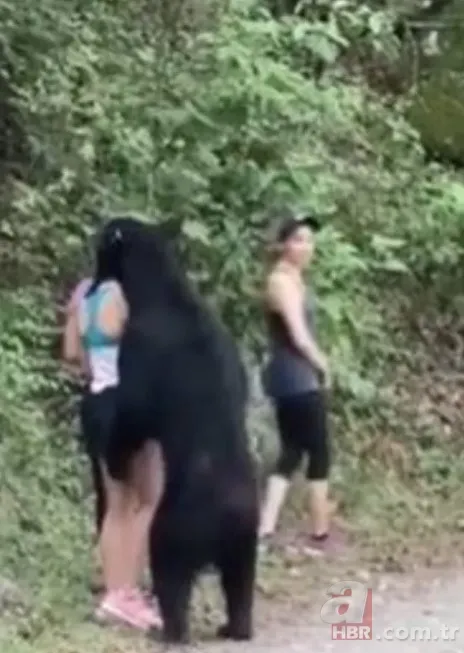 Görüntüler Erzurum’dan… Ayı çobana saldırdı! ‘Ayının altından kurtuldum ve…’🐻 6