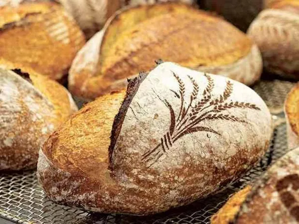 Fırıncılar Federasyonu Başkanı’ndan ekmek fiyatlarına ilişkin açıklamada bulundu: Pazartesi gününden itibaren...