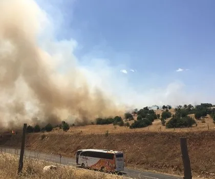 Kahramanmaraş’taki orman yangınının nedeni ortaya çıktı! Torpil şakası 80 hektarı küle döndürdü