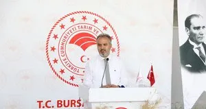 Siyez buğdayı ve çörek otunda hasat zamanı