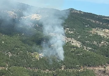 Muğla'da orman yangını! 1 hektar alan zarar gördü
