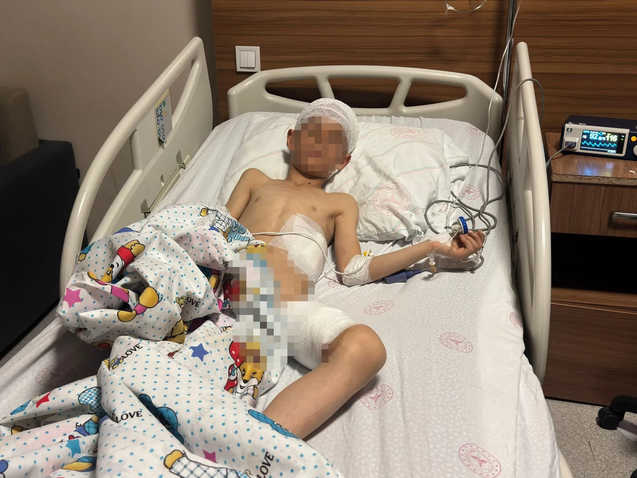 İçişleri duyurdu! Van'da 5 yaşındaki Hamza köpek saldırısında can vermişti: Saray Belediye Başkanı'na soruşturma izni