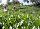 6 bin 900 TL maaş! 2 bin işçi aranıyor