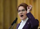 CHPliler Meral Akşeneri karga ilan etti