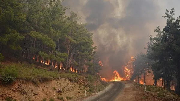 orman-yanginlari-hakkinda-4-bakandan-son-dakika-aciklamalari-1628448245121.jpg Orman yangınları hakkında 4 bakandan son dakika açıklamaları - 4