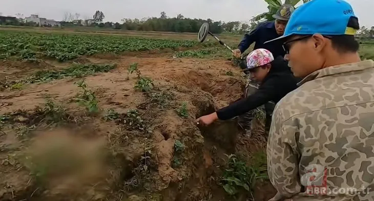 Yılan dedektörü ile yuva buldular! Toprağın altından 100 tane kobra çıkardılar