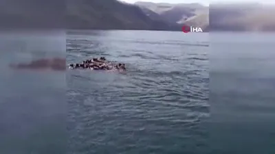 Belgeselleri aratmayan görüntüler