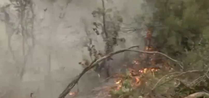 Ankara ve Manavgat’taki orman yangınlarında sabotaj şüphesi! PKK ormanları hedef alıyor?