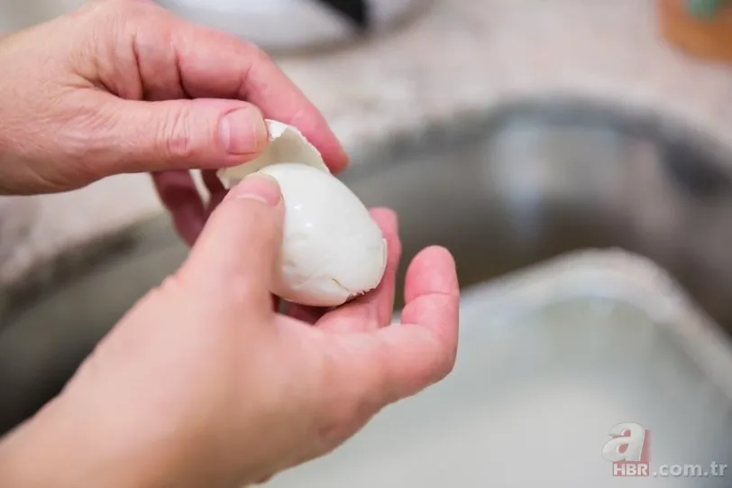 Yumurtaların üzerindeki kod ne anlama geliyor? Yumurtanızın kodu ne? Eğer 3 ile başlıyorsa... 23