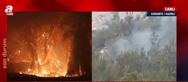 Osmaniye’de orman yangını | Yerleşim yerleri tehdit altında! Ekipler nasıl müdahale ediyor?