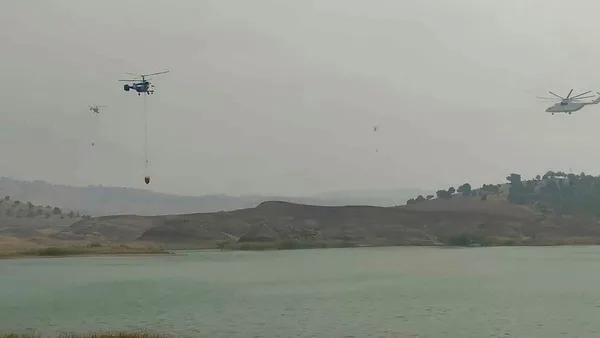 Bakan Bekir Pakdemirli’den Ankara Nallıhan’daki yangınla ilgili açıklama