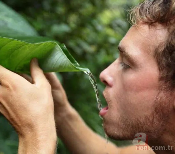 Hayat kurtaran teknolojik ipuçları! Kimse bu işe yaradığını bilmiyordu... 28