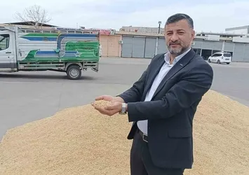 Batman'da kuralık endişesi