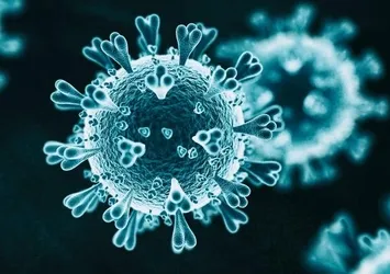 Filistin'de ilk kez Delta varyantı görüldü