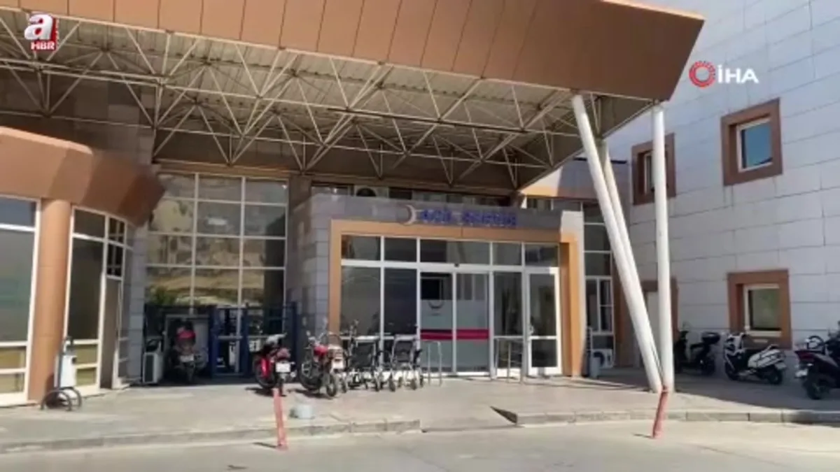 Manisa'da bahçesindeki ağacı kesmek isterken feci şekilde can verdi