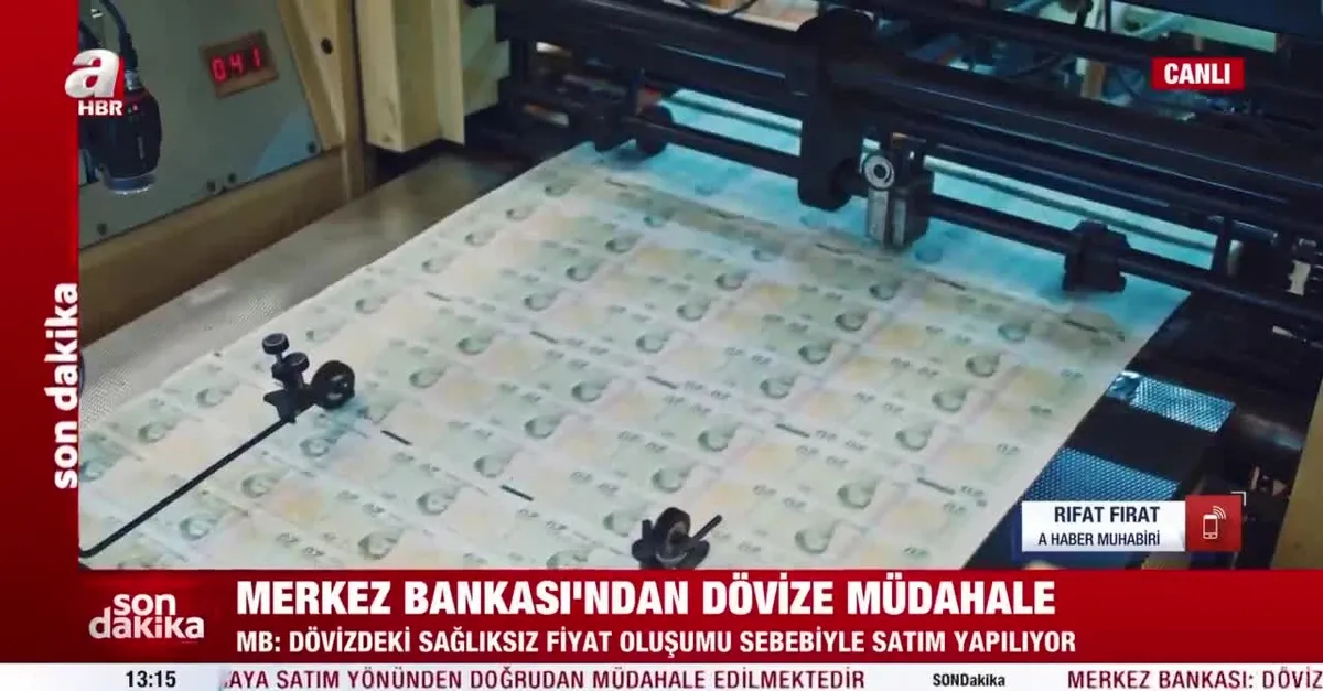 Merkez Bankası'ndan dövize ikinci müdahale
