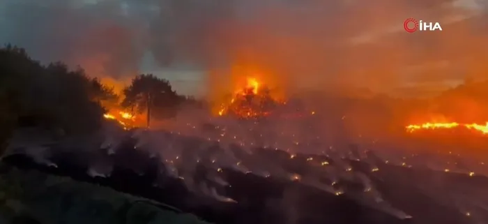 adanada-aniz-yangini-ormana-sicradi-alevler-kontrol-altinda-1717880447636.jpg